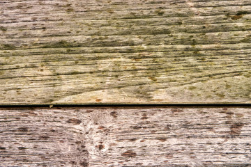 grunge texture of old weathered wood
