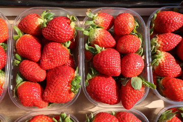 red strawberries in the boxes for sale at fruit market