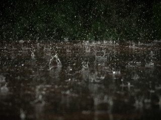 Fototapeta na wymiar Raindrops falling on wooden floor.