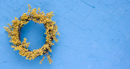 Obraz na płótnie Canvas Acacia flower wreath on blue background.