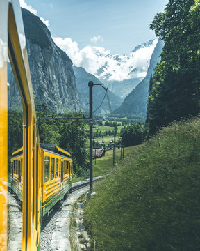 train between plants