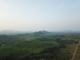 drone shot landscape nature mountain and trees background 