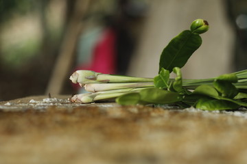 Lemongrass, Thai herb