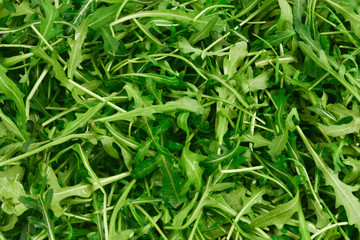 Fresh leaves of arugula as background.