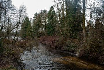 view of the creek
