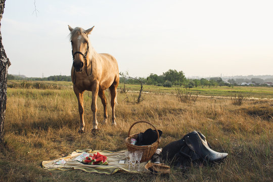 black and brown horse figurine