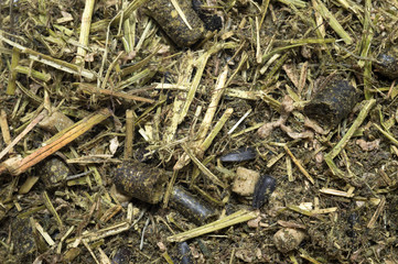  Diet muesli  with herbs background for horse. macro