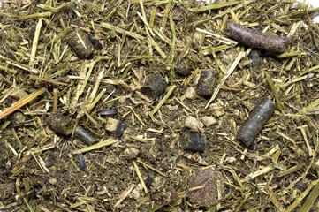  Diet muesli  with herbs background for horse. macro