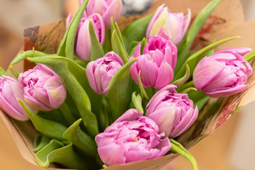 Obraz premium delicate bouquet of tulips