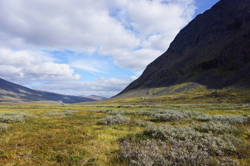 Arctic Circle Scenery