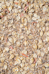  natural  muesli  background with barley and carrot. for horse.  close up