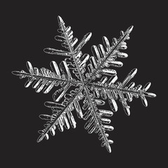Snowflake isolated on black background. Vector illustration based on macro photo of real snow crystal: large stellar dendrite with complex, elegant arms, ornate shape and glossy, relief surface.