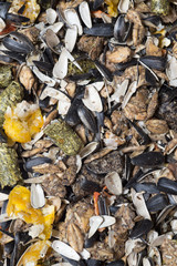 horse muesli background