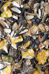  natural  muesli  background with sunflower seeds. for horse. close up