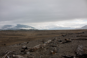 Paisaje muerto