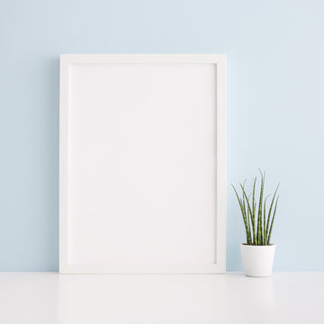 Frame mock up and succulent plant against blue wall.	
