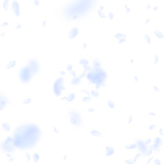 Light blue flower petals falling down. Impressive 