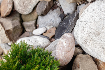 Stones on the dried river bed