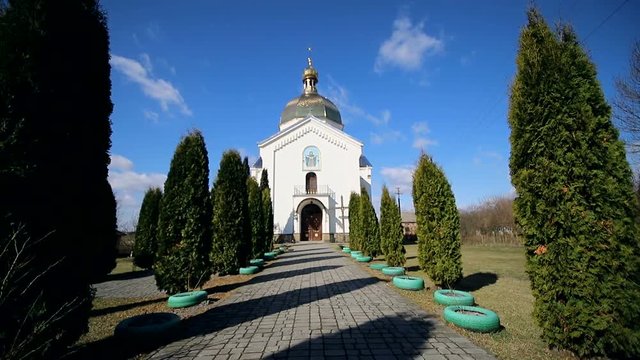 An old little church, and next to high tui that flutter from the wind