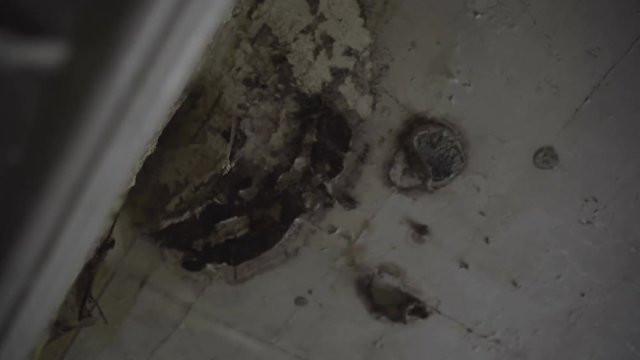 Abandoned, old, ruined house from horror movie in 4k, ceiling grose stains