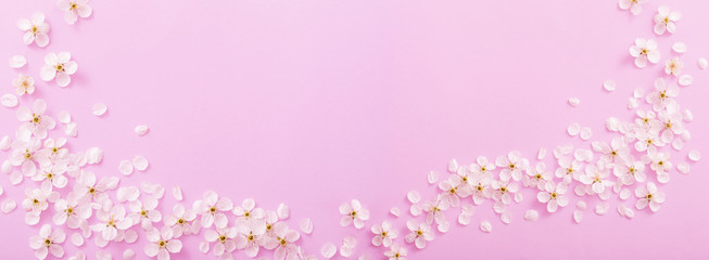 cherry flowers on paper background