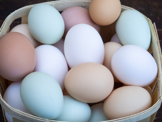 A group of ecological eggs of various colors, white eggs, blue eggs and brown eggs