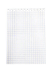 One blank paper sheet of a notebook (squared), isolated on white background