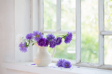 purple asters in  jug on  windowsill