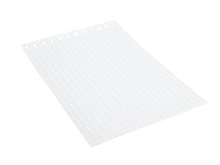 One blank paper sheet of a notebook (squared), isolated on white background