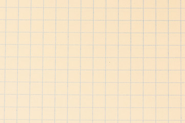 Blank paper sheet of a notebook. Grid. Background