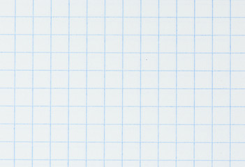 Blank paper sheet of a notebook. Grid. White. Background