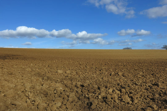 Campagna