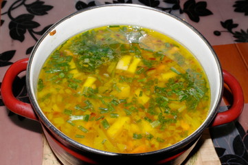 pan with vegetable soup