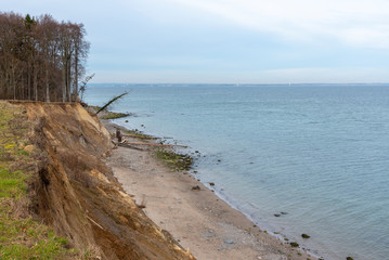 Steilküste am Brodtener Ufer bei Travemünde, Schleswig-Holstein, Deutschland