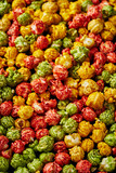 Different colors gourmet popcorn