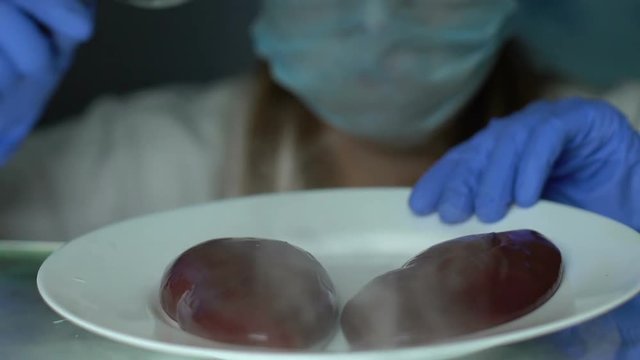 Laboratory scientist checking liver samples with magnifying glass food expertise