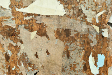 Brown, white and gray. The shreds of old posters on a billboard.