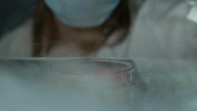 Laboratory scientist injecting liquid into meat sample petri dish, gmo research