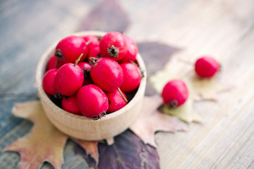Fresh hawthorn berries  (thornapple, May-tree, whitethorn, hawberry) in the wooden small bowl on the table. Herbal medicine. Selective focus.	