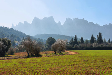 Montserrat mountain (Catalonia, Spain) - obrazy, fototapety, plakaty
