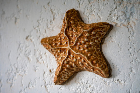 Estrela de parede