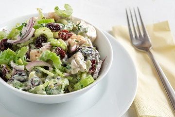 Salad with celery, chicken, cranberry, red onion, dill and yogurt.
