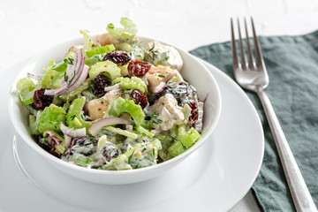 Salad with celery, chicken, cranberry, red onion, dill and yogurt.