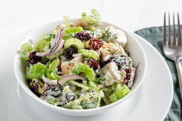 Salad with celery, chicken, cranberry, red onion, dill and yogurt.