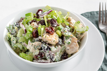 Salad with celery, chicken, cranberry, red onion, dill and yogurt.