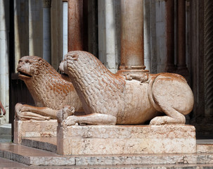 Lion statue on Modena Cathedral dedicated to the Assumption of the Virgin Mary and Saint Geminianus, Italy 