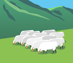 Flock of sheep on a mountain pasture