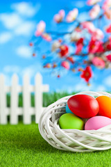 Colored Easter eggs in white nest on grass and springtime background