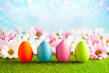 Flowers and Easter eggs on the grass and blue abstract background