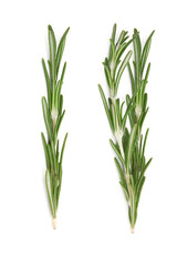 Fresh rosemary on white